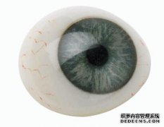 <b>义眼定制：义眼多久需要换一次</b>